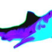 shark 2  10 fin 3 with teeth